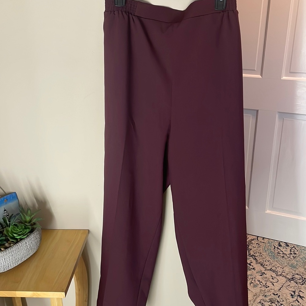 Just for Women petite pull on pants